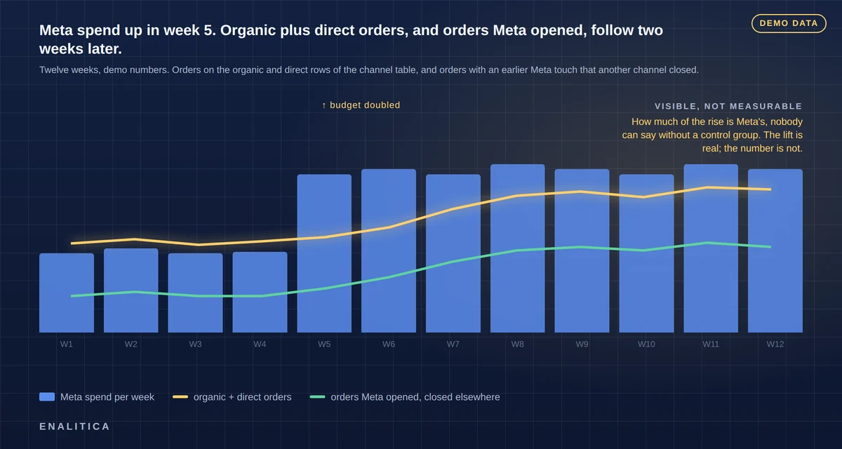 Dark chart with a soft halo glow: twelve weeks of Meta spend as bars, stepping up in week five, with a line for organic and direct orders and a line for orders Meta opened that another channel closed, both rising two weeks later and staying up; a bracket marks the gap between the last-click Meta line and the rest as "visible, not measurable"