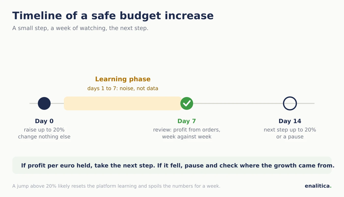 Timeline of a safe ad budget increase: day 0 a 20 percent raise, days 1 to 7 the learning phase with no judgment, day 7 the profit review, then a new step or a pause